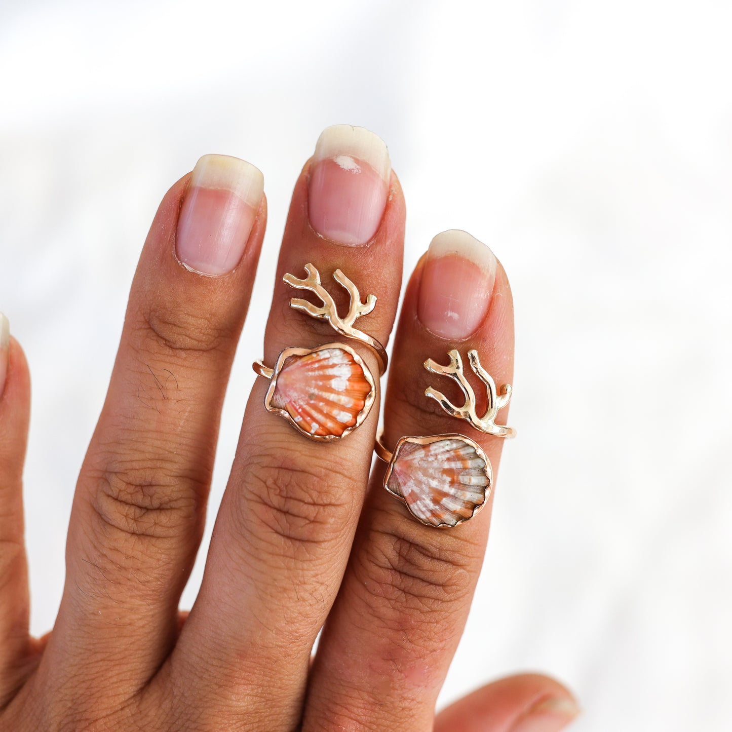 Gold Size 6 Sunrise Shell Coral Branch Ring