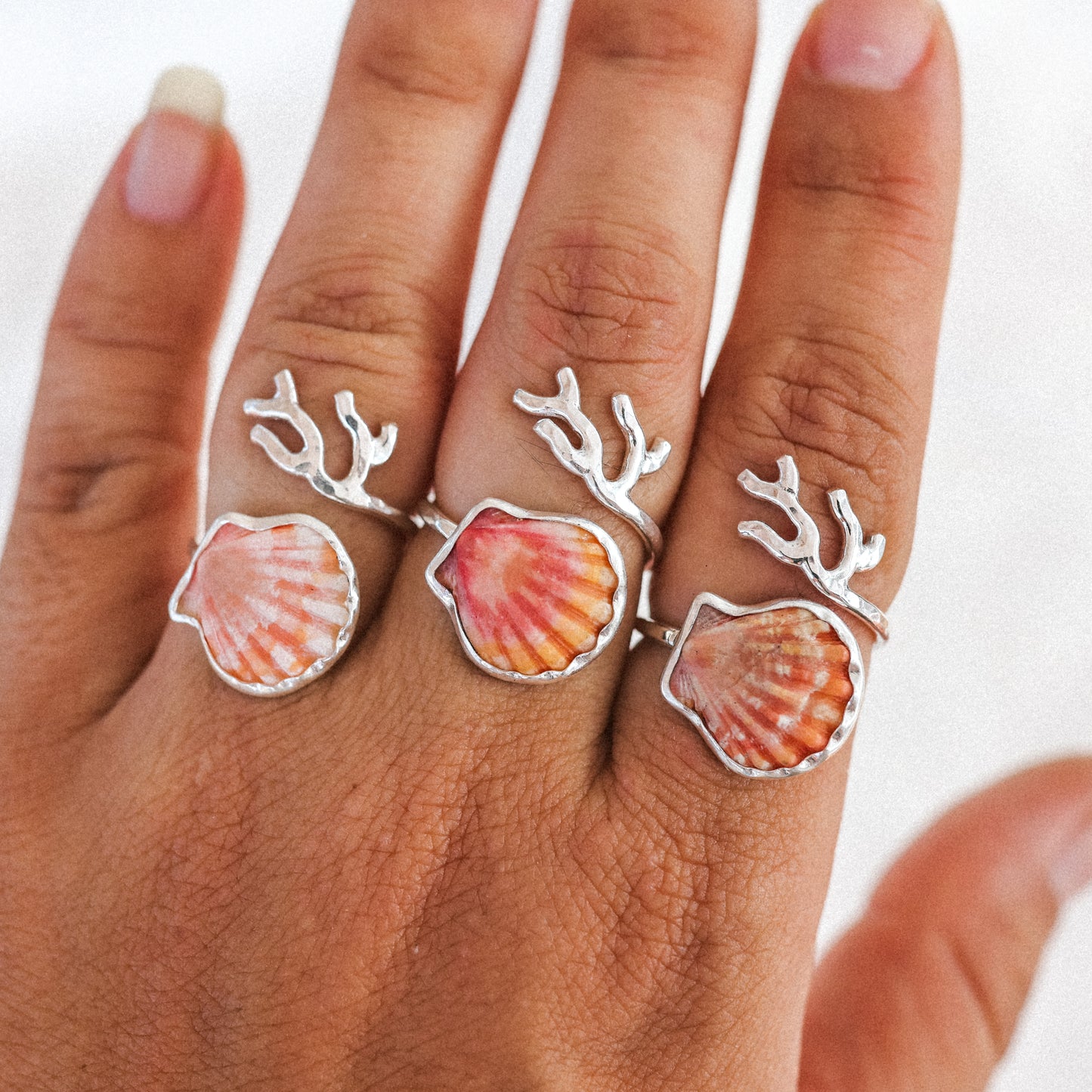 Silver Sunrise Shell Coral Branch Rings