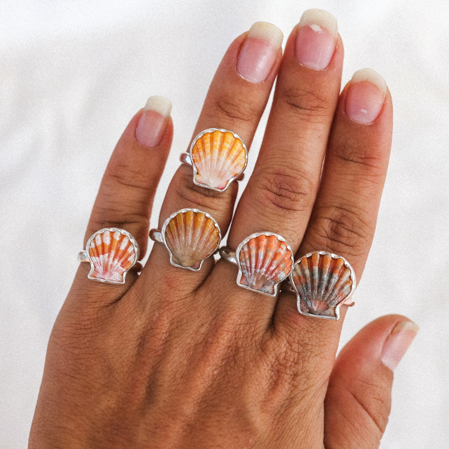 Silver Sunrise Shell Rings