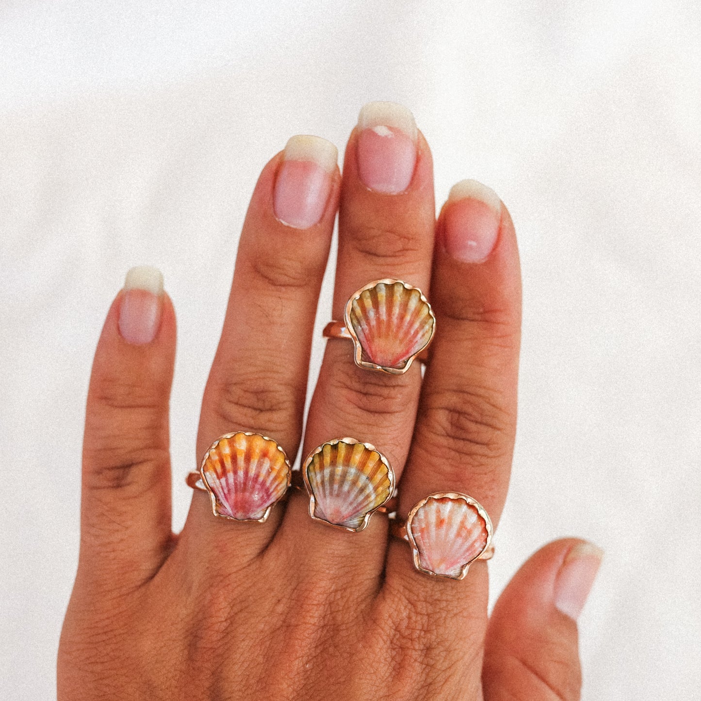 Gold Size 8 Sunrise Shell Rings