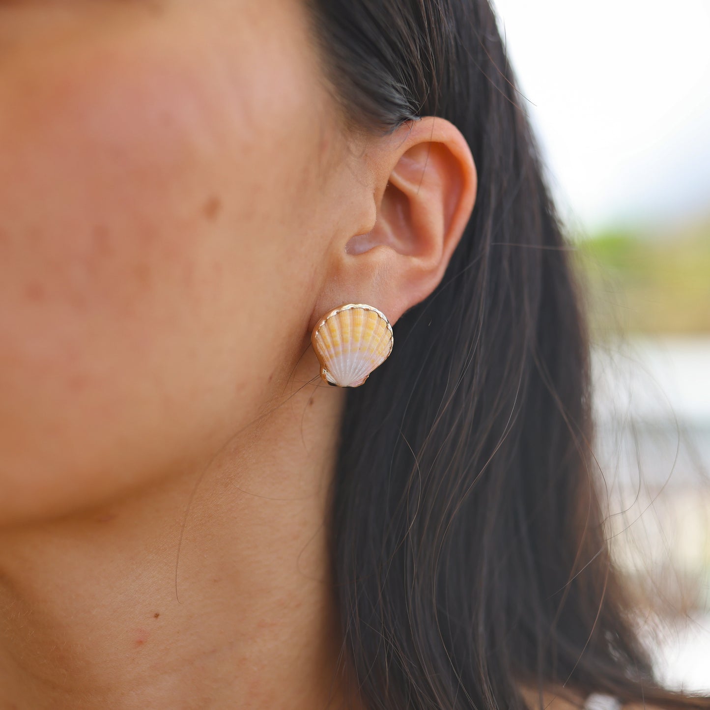 Gold Sunrise Shell Studs