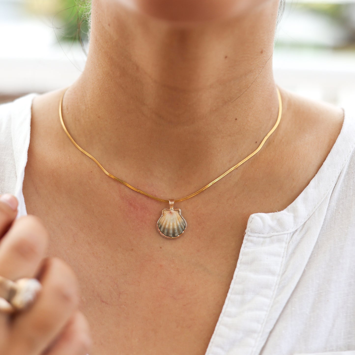 Small Gold Bezel Sunrise Shell Necklaces