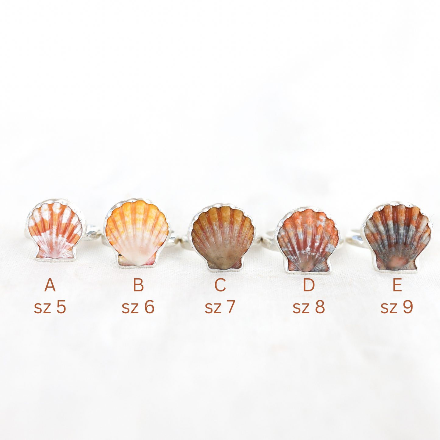 Silver Sunrise Shell Rings