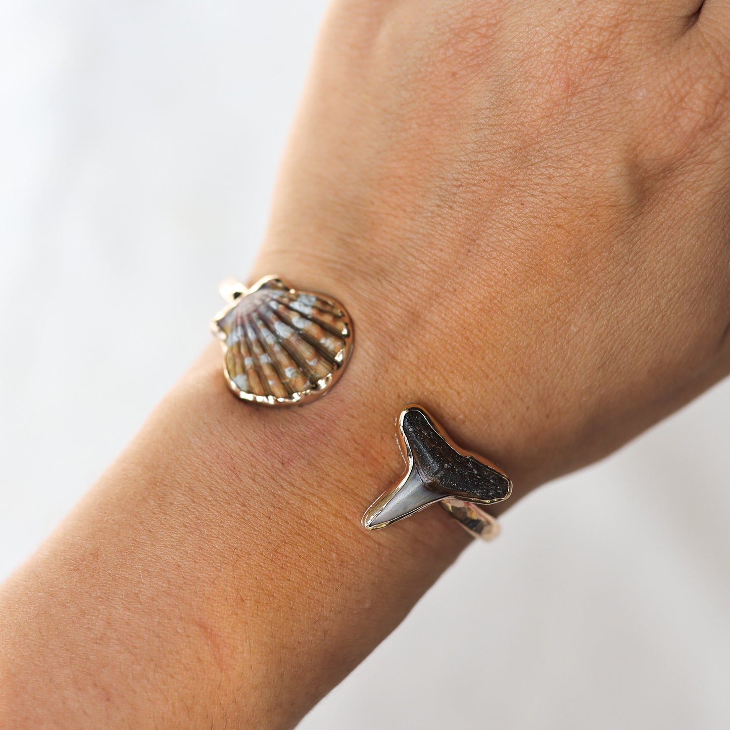Gold Sunrise Shell and Shark Tooth Cuff