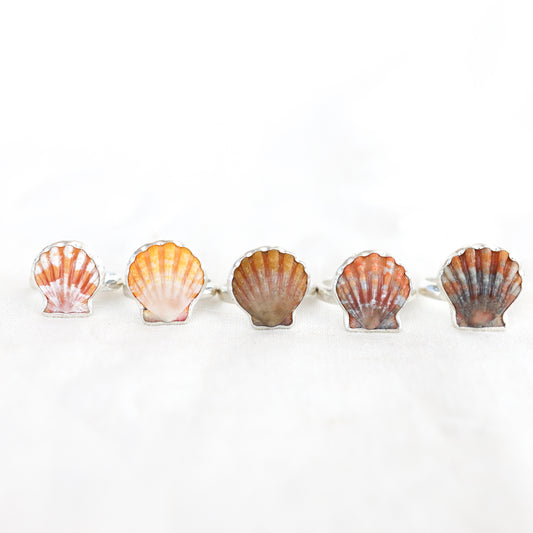 Silver Sunrise Shell Rings