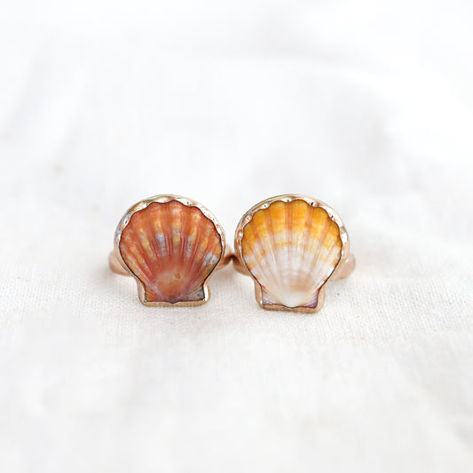 Gold Size 5 Sunrise Shell Ring