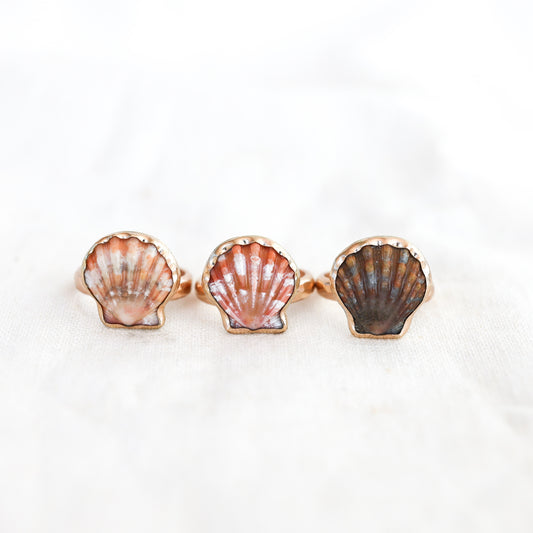 Gold Size 6 Sunrise Shell Ring