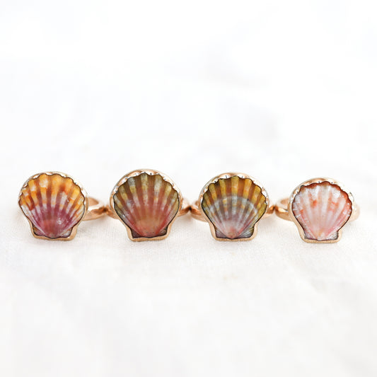 Gold Size 8 Sunrise Shell Rings