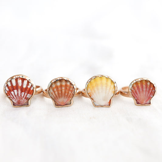 Gold Size 9 Sunrise Shell Rings