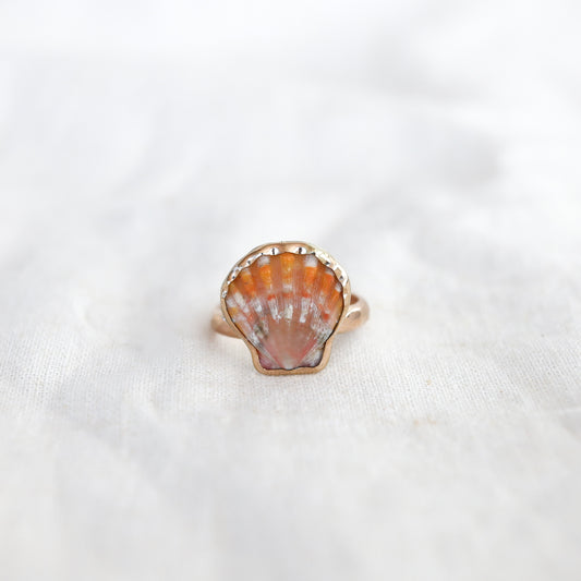 Gold Size 10 Sunrise Shell Ring