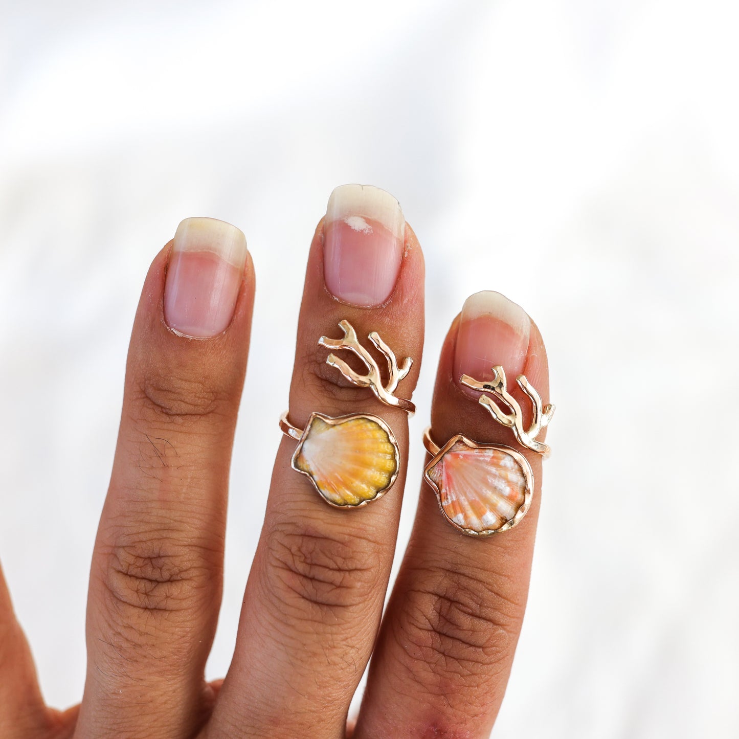 Gold Size 5 Sunrise Shell Coral Branch Rings