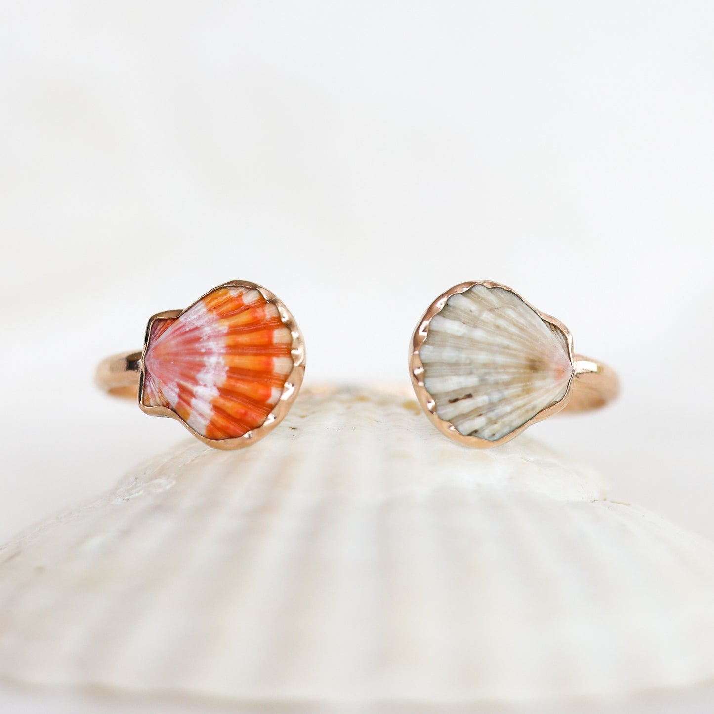 Gold Double Sunrise Shell Cuff