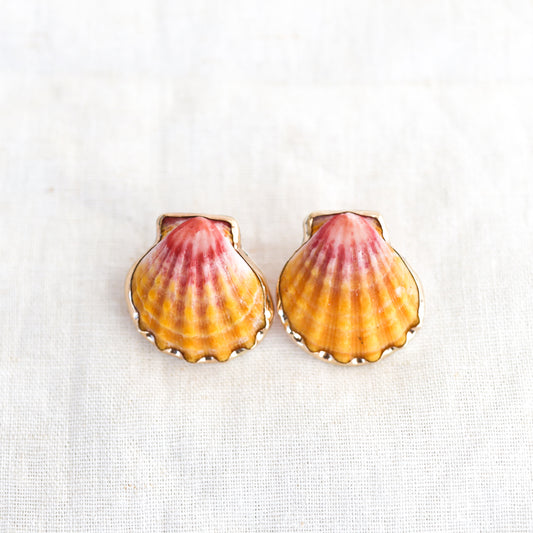 Gold Sunrise Shell Studs