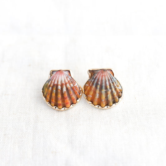 Gold Sunrise Shell Studs