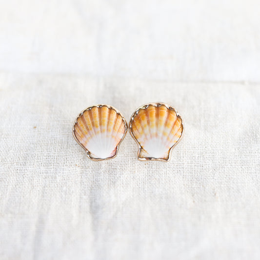 Gold Sunrise Shell Studs