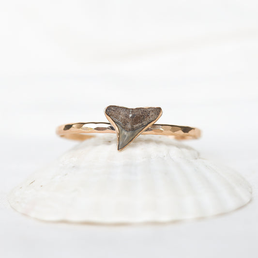 Gold Shark Tooth Cuff