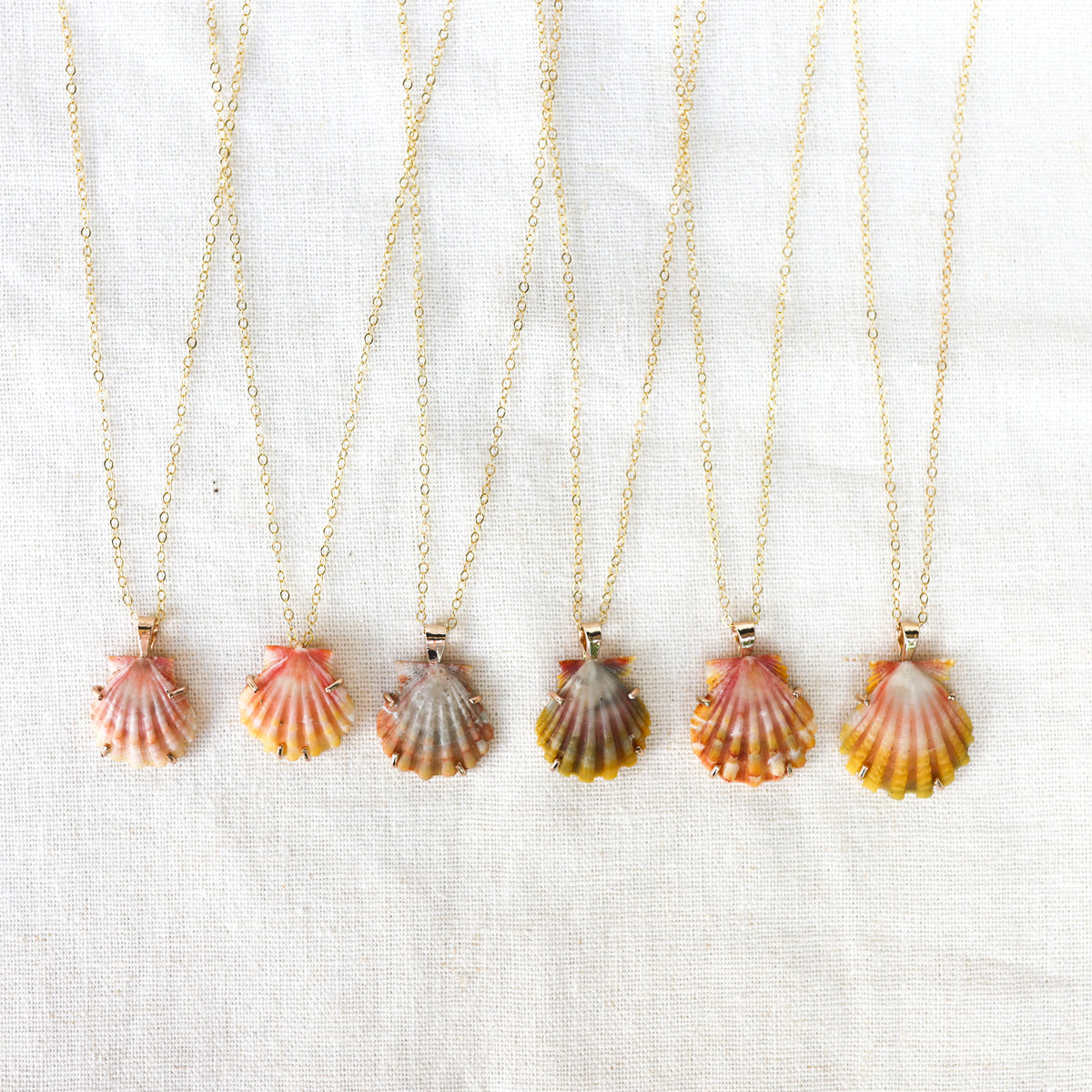 Gold Prong Set Sunrise Shell Necklaces