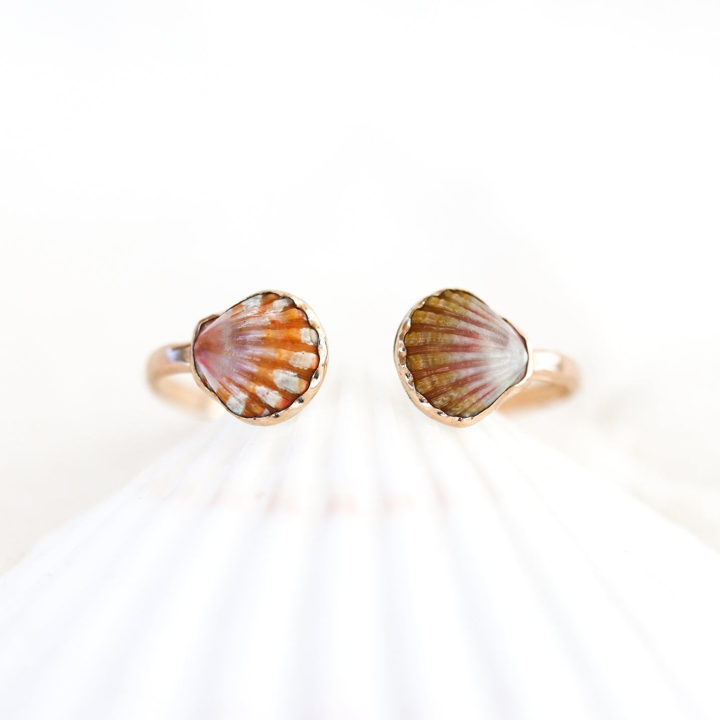 Gold Double Sunrise Shell Cuff