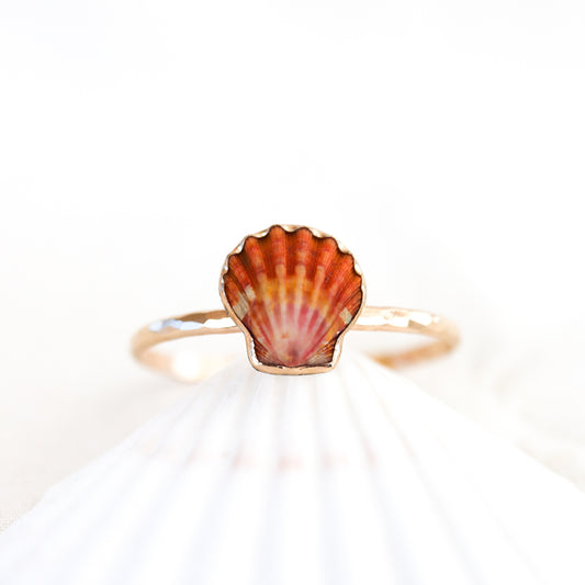 Gold Sunrise Shell Cuff