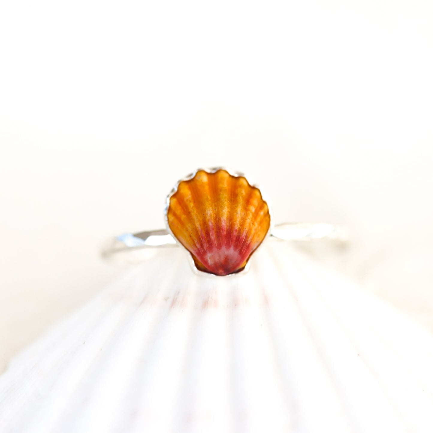 Silver Sunrise Shell Cuff