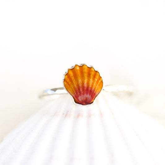 Silver Sunrise Shell Cuff