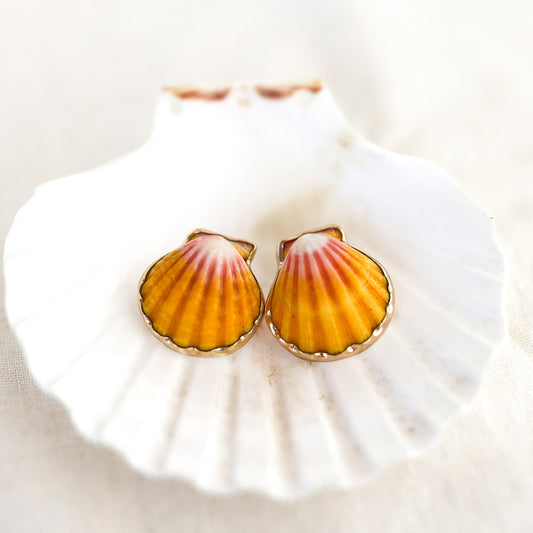 Gold Sunrise Shell Studs