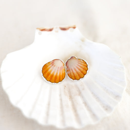 Silver Sunrise Shell Studs