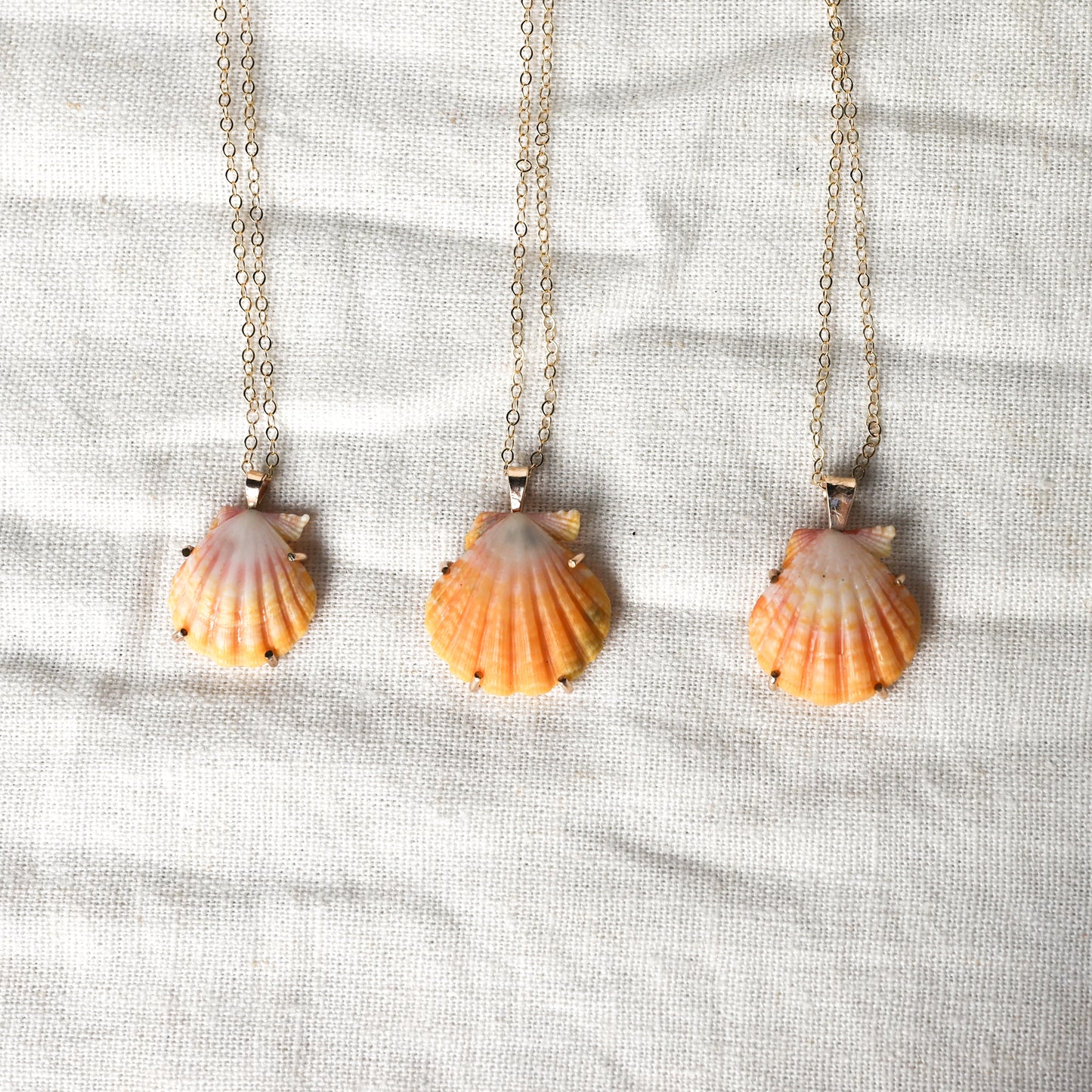 Gold Prong Set Sunrise Shell Necklaces