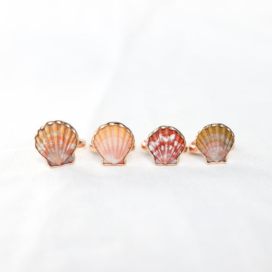 Gold Sz. 6 Sunrise Shell Rings