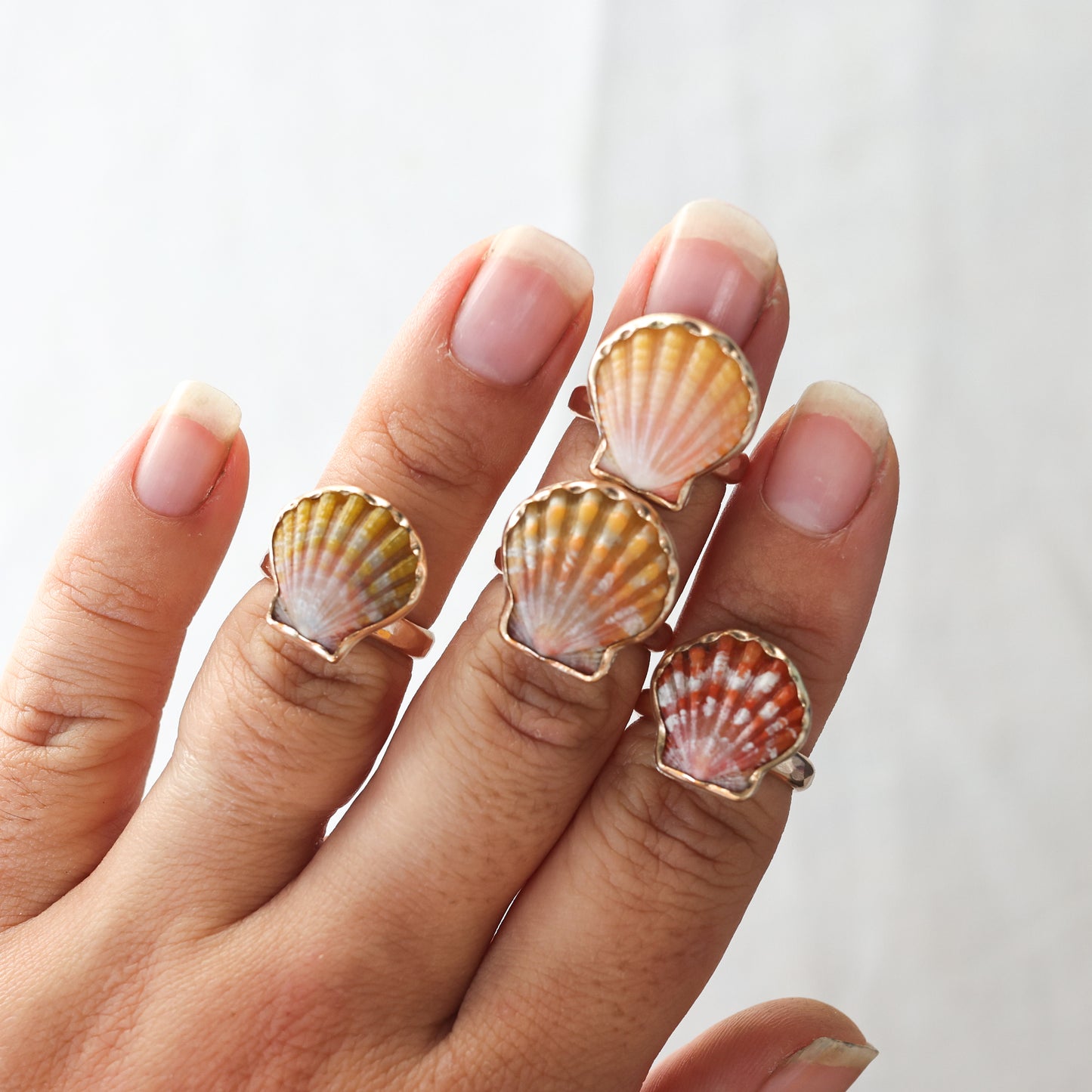 Gold Sz. 6 Sunrise Shell Rings