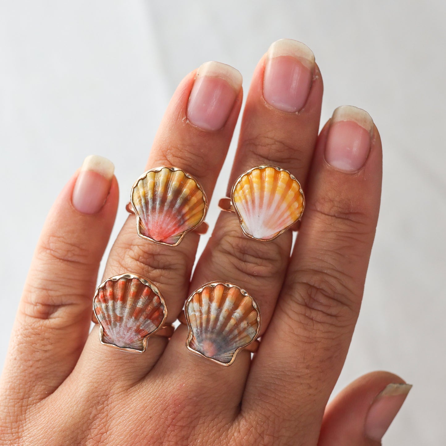 Gold Sz. 7 Sunrise Shell Rings