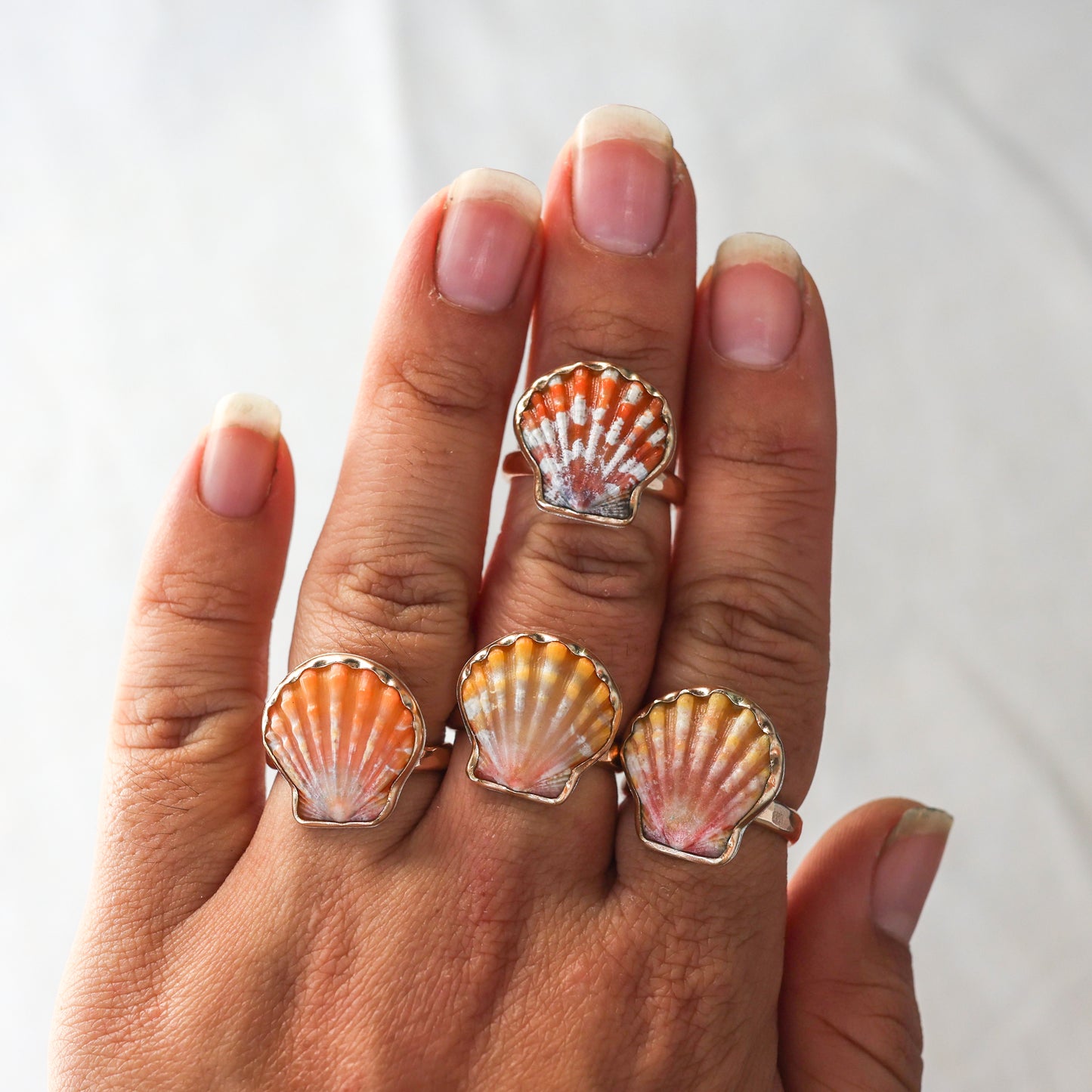 Gold Sz. 8 Sunrise Shell Ring