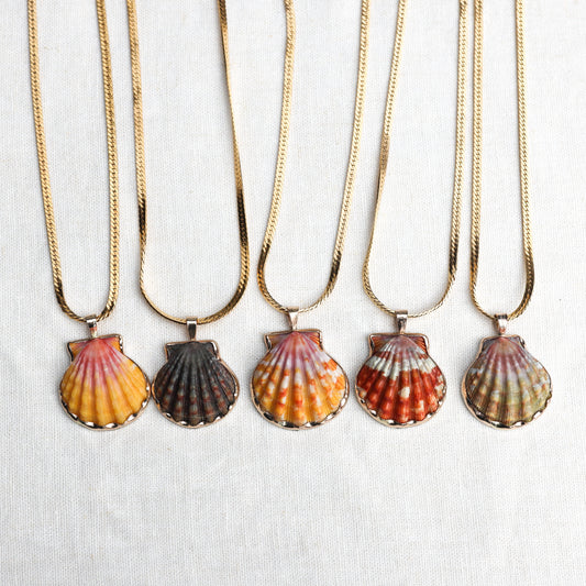 Gold Bezel Sunrise Shell Necklaces