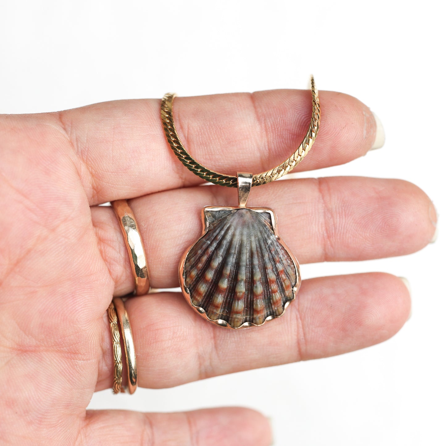 Gold Bezel Sunrise Shell Necklaces