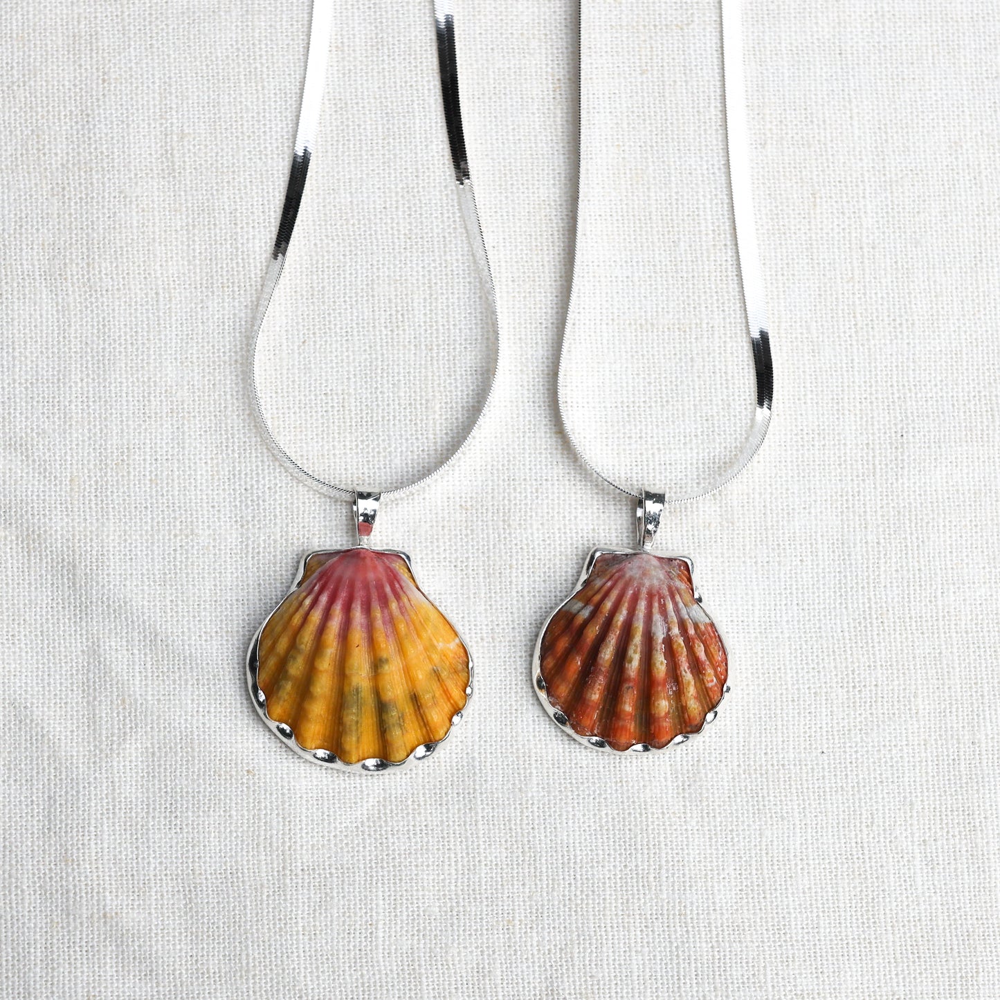 Silver Bezel Sunrise Shell Necklace