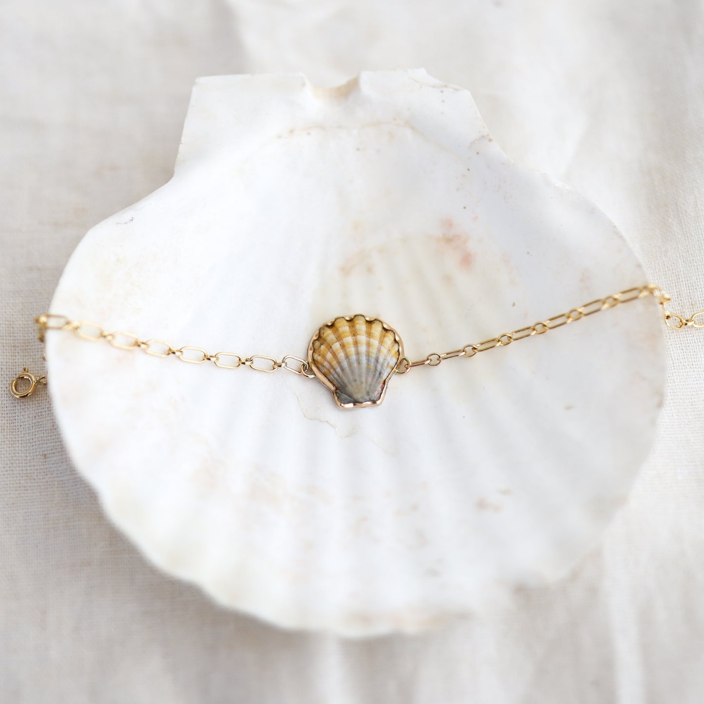 Gold Sunrise Shell Chain Cuff