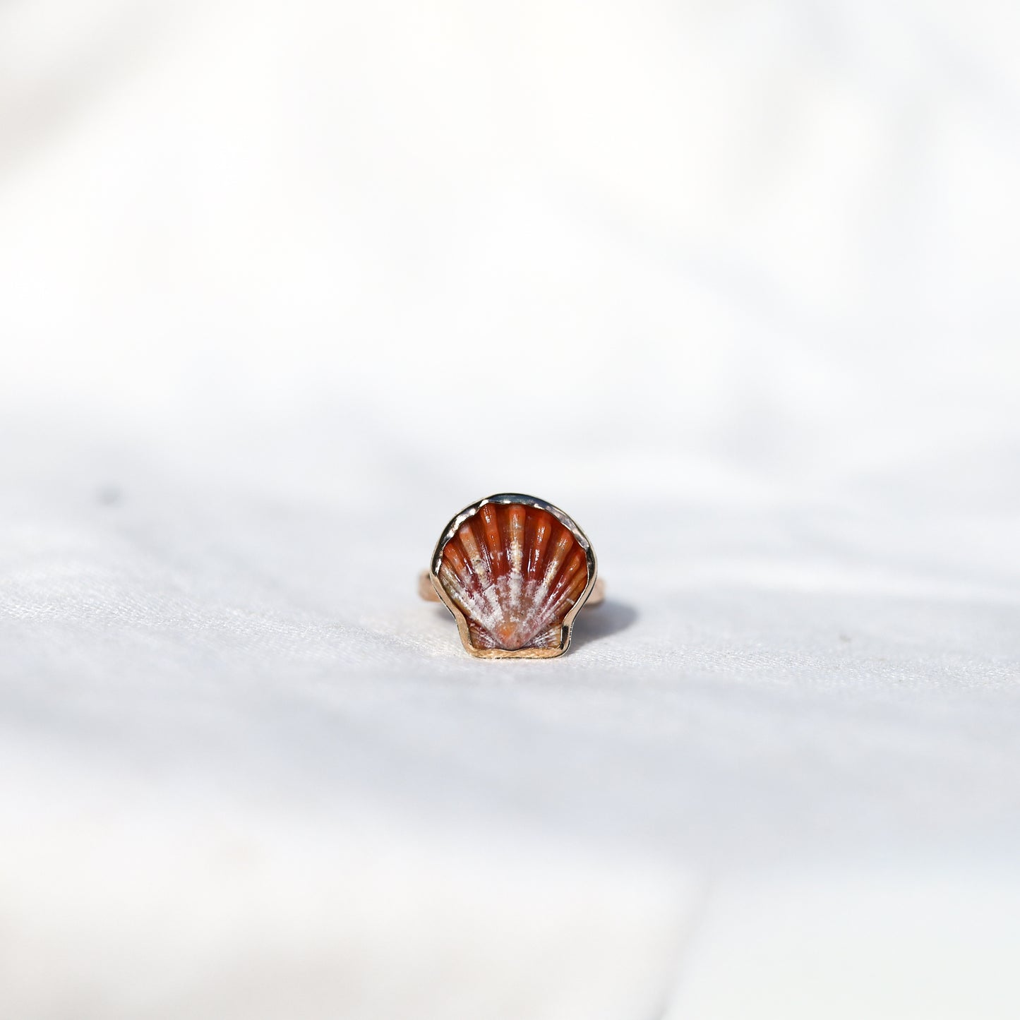 Gold Sz. 5 Sunrise Shell Ring