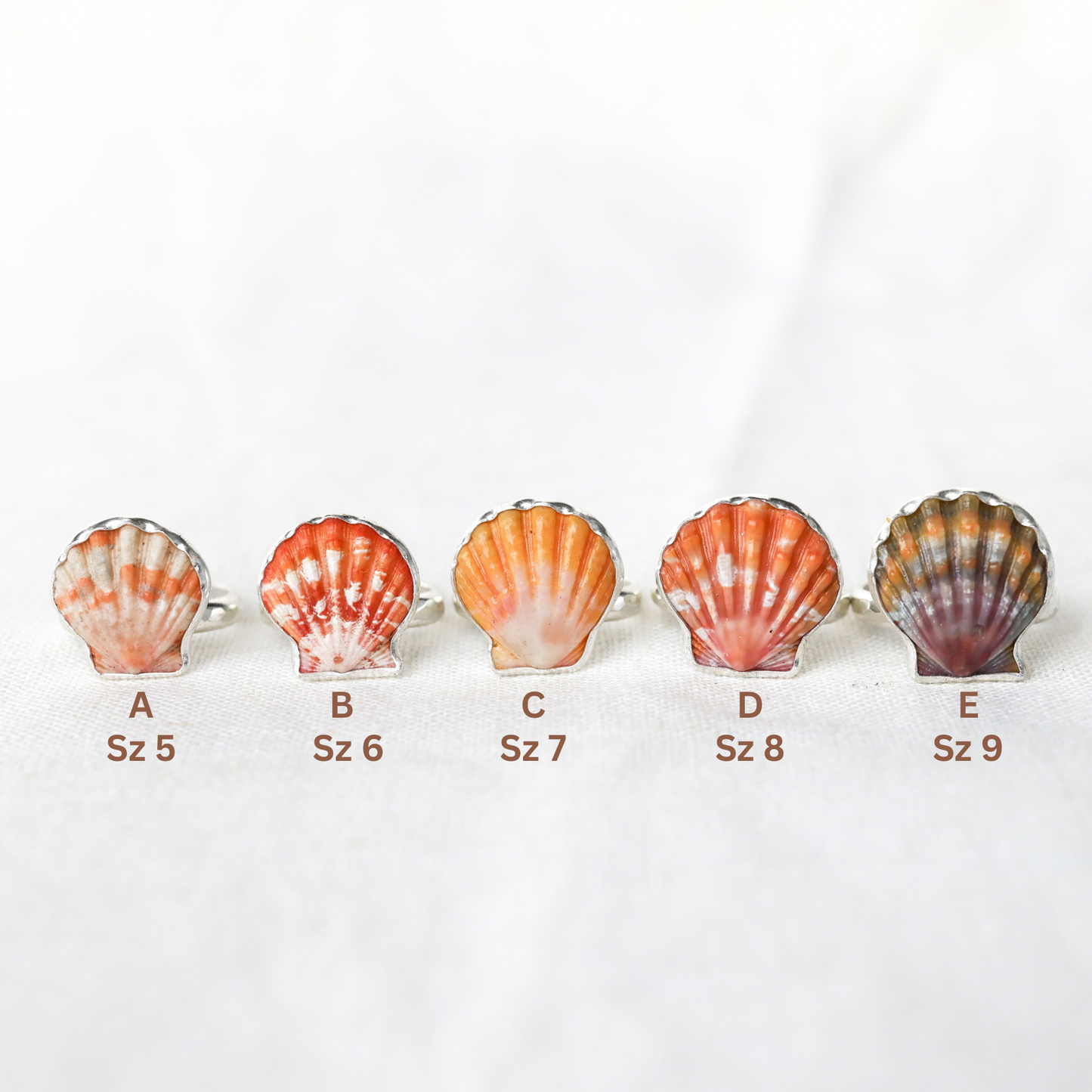 Silver Sunrise Shell Rings