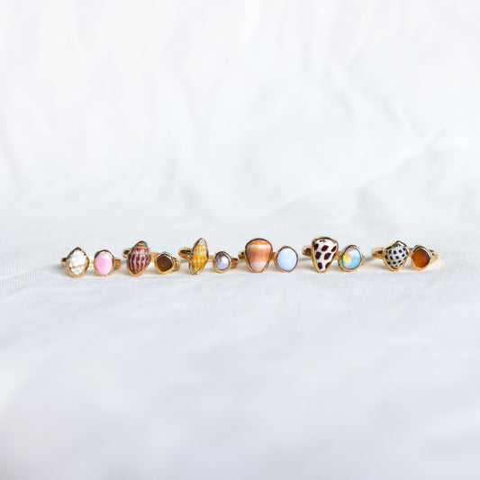 Gold Duo Shell Rings