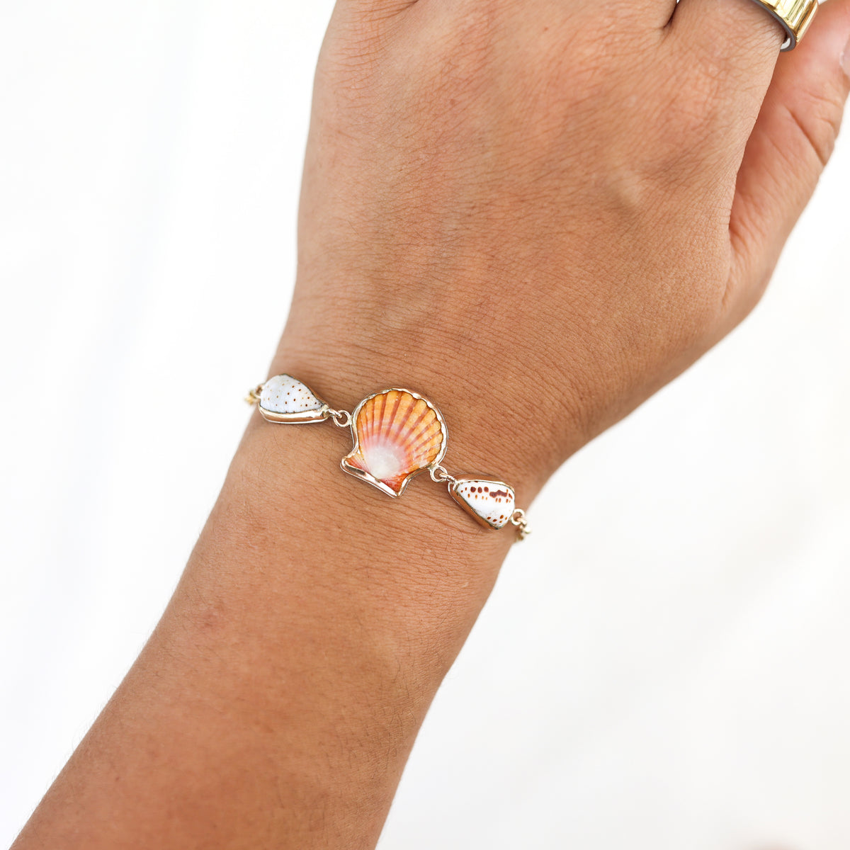 Gold Sunrise Shell Charm Chain Bracelets