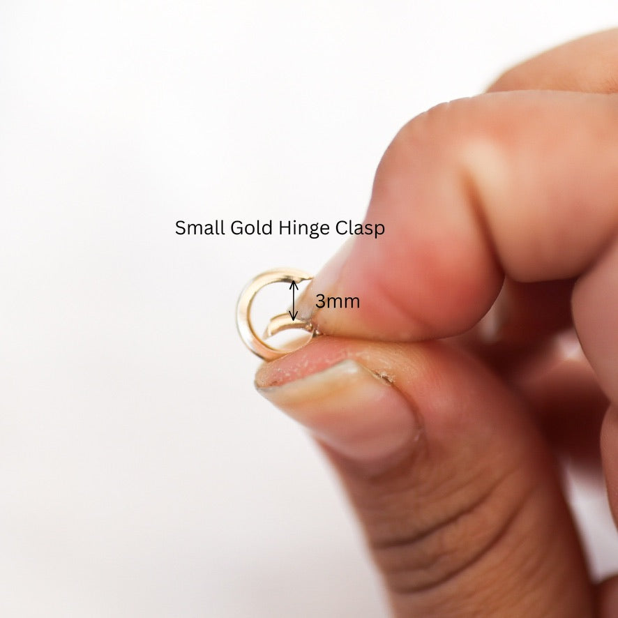 Hinged Clasps
