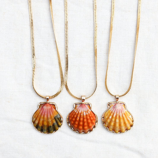 Gold Bezel Sunrise Shell Necklaces