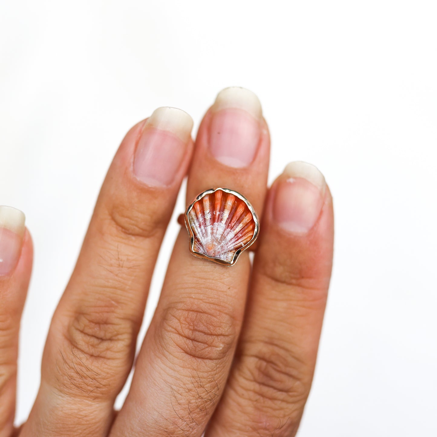 Gold Sz. 5 Sunrise Shell Ring