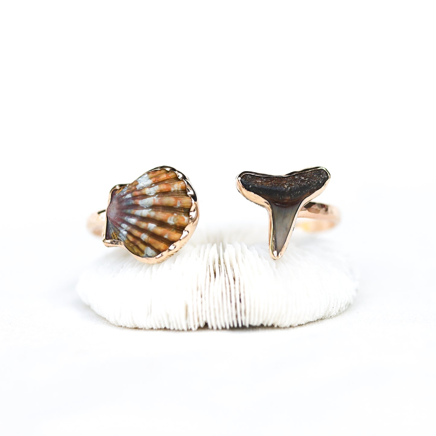 Gold Sunrise Shell and Shark Tooth Cuff