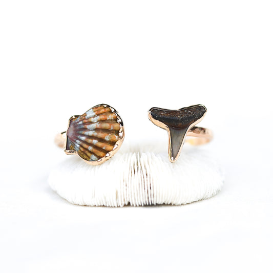 Gold Sunrise Shell and Shark Tooth Cuff